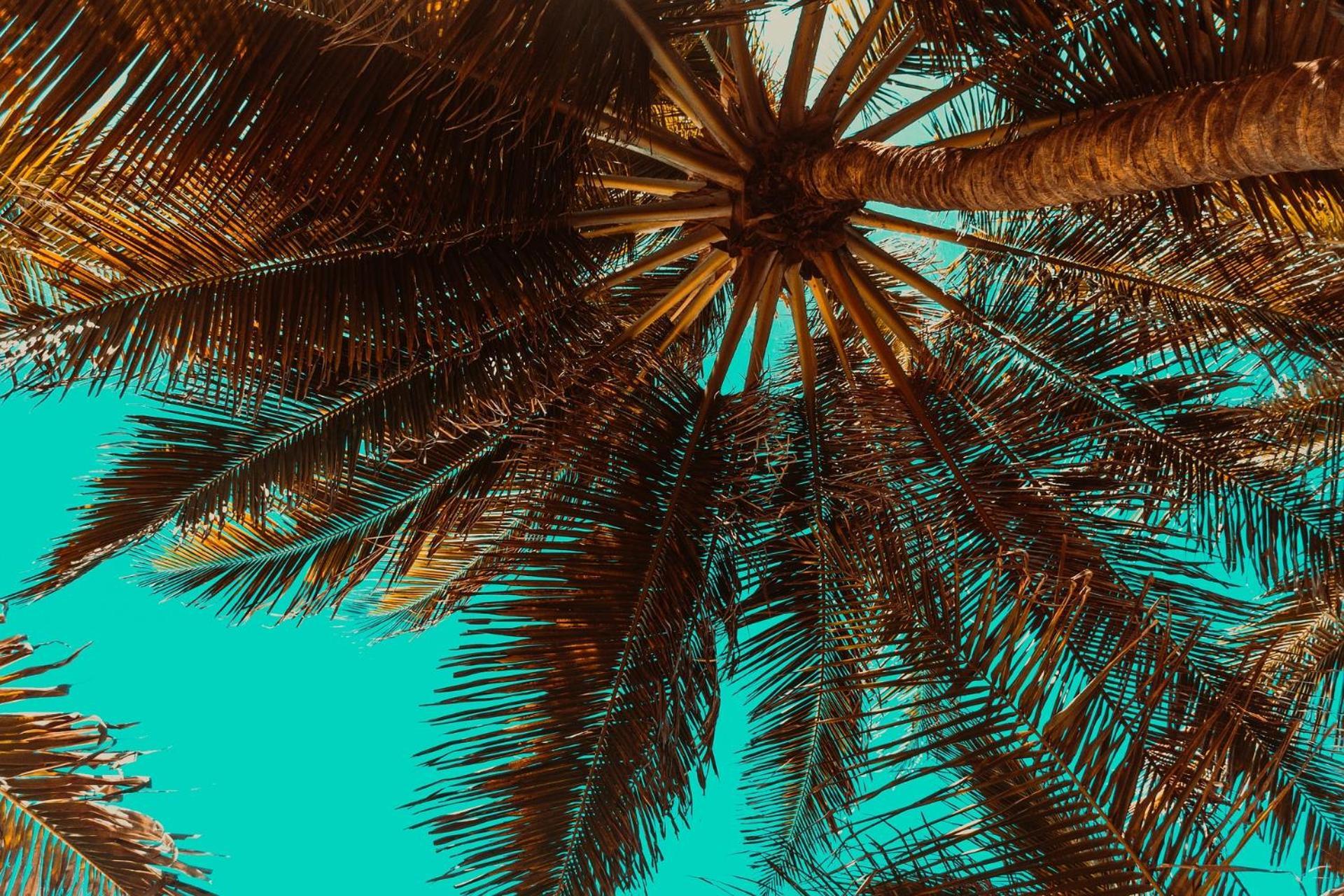 Aiolos Suite Sitia  Esterno foto